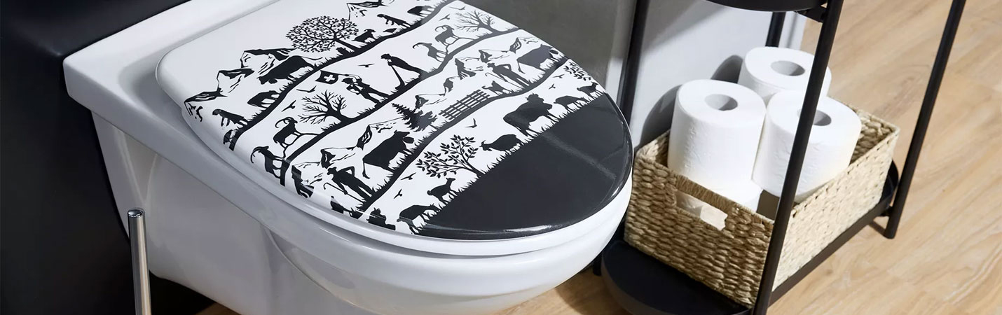 Was Sie &uuml;ber den WC-Deckel wissen sollten